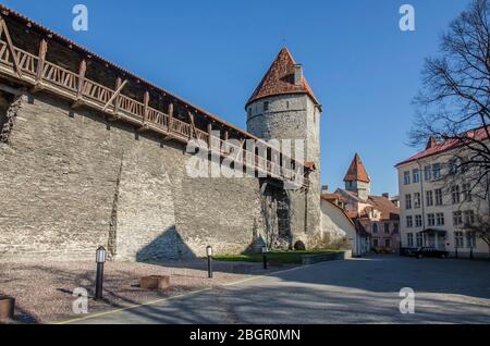 Muro con torri nella città vecchia di Tallinn, Estonia. Torri medievali. Parte delle Mura cittadine. Torri fortezza e parco su sfondo cielo. Foto Stock