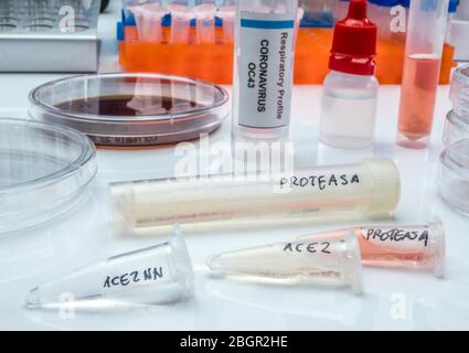Diversi flaconcini con proteine di proteasi solubili per l'attivazione della proteina simile a tripsina della sindrome respiratoria acuta grave del coronavirus (SARS) nell'uomo Foto Stock