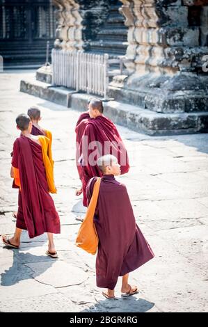 Giovani monaci cambogiani camminano attraverso gli incredibili templi di Angkor Wat, Cambogia. Foto Stock