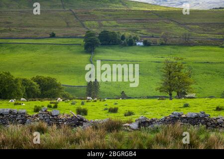 Homestead in paesaggio pittoresco nel Parco Nazionale del Northumberland vicino a Walltown Crags, Inghilterra Foto Stock