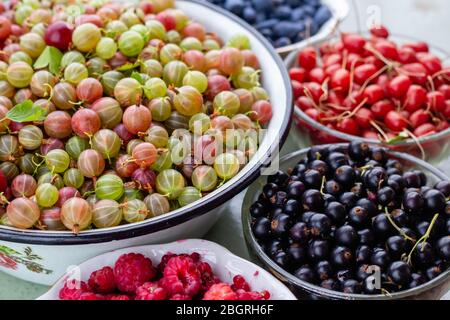 Estate frutti di bosco sfondo, gooseberries, ribes nero, barberry in ciotola, sano biologico casa coltivato vitamine mangiare Foto Stock