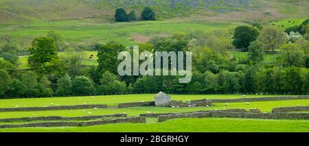 Homestead in paesaggio pittoresco nel Parco Nazionale del Northumberland vicino a Walltown Crags, Inghilterra Foto Stock