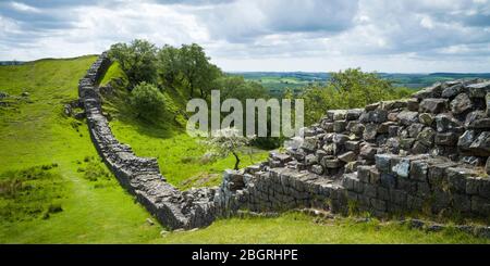 Il Muro di Adriano, confine di costruzione di pietra miliare nel Parco Nazionale del Northumberland a Walltown Crags, Inghilterra Foto Stock