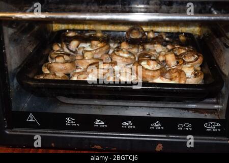 Cottura dei funghi in forno elettrico. I funghi vengono cotti nel forno. Foto Stock