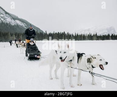 la coppia siede in cani guidati da cani sul lago ghiacciato in inverno Foto Stock