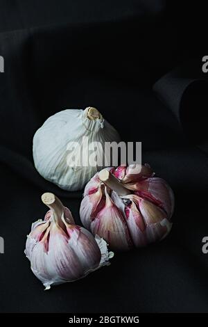 Teste di aglio viola su panno scuro. Concetto di vita ferma. Foto Stock