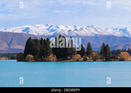 Bella natura vicino al lago Ruataniwha, Twizel, Nuova Zelanda Foto Stock