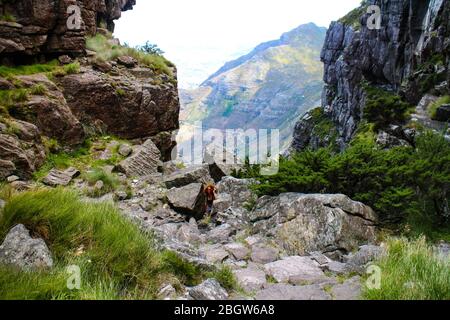 Escursioni su Table Mountain via Platteklip Gorge a Città del Capo, Capo Occidentale, Sud Africa. Foto Stock