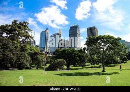 Skyline del quartiere centrale degli affari di Sydney visto dai Royal Botanic Gardens. Sydney, nuovo Galles del Sud, Australia. Foto Stock