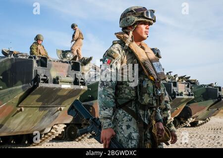 JACKSONVILLE, USA - OTTOBRE 22: Addestramento dei soldati messicani durante l'esercizio di Amphibious Bold Alligator organizzato dalla Marina statunitense e dal corpo dei Marine Foto Stock