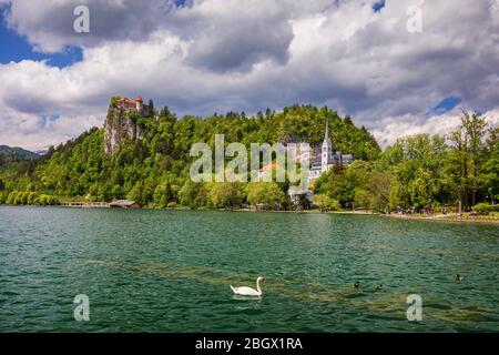 Incredibile scenario soleggiato del castello di Bled e la chiesa di San Martino e la città di Bled con la riflessione sul lago e le Alpi Giulie sullo sfondo. Lago di Bled, S Foto Stock