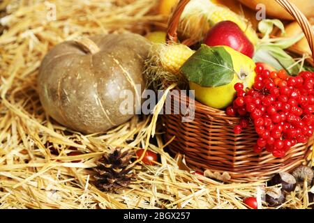 Bella composizione autunnale su paglia Foto Stock