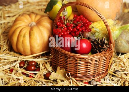 Bella composizione autunnale su paglia Foto Stock