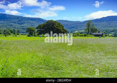 Terreno agricolo nella Illawarra, Wollongong Australia Foto Stock