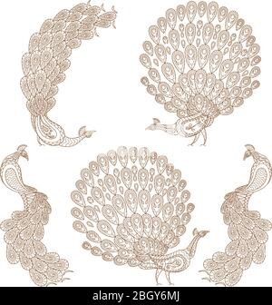 Barba di pavone in stile indiano mehndi. Illustrazione vettoriale di peacock mehndi disegnata a mano Illustrazione Vettoriale