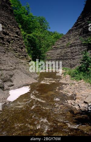 Whetstone Creek, Whetstone Gulf state Park, New York Foto Stock