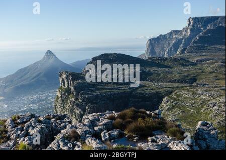 Città del Capo, Capo Occidentale, Sud Africa è un sogno per escursionisti e outdoorsman con accesso ai sentieri attraverso i fynbos nel Table Mountain National Park. Foto Stock