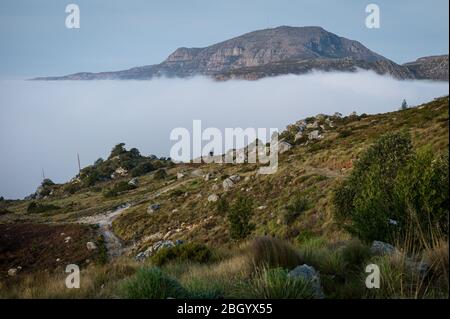 Città del Capo, Capo Occidentale, Sud Africa è un sogno per escursionisti e outdoorsman con accesso ai sentieri attraverso i fynbos nel Table Mountain National Park. Foto Stock