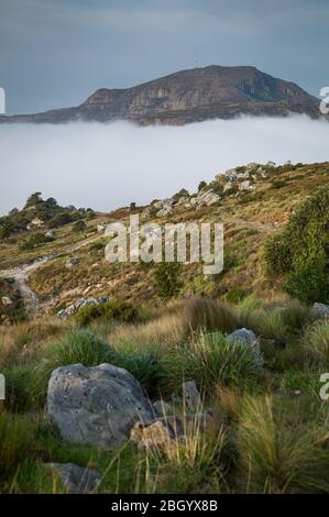 Città del Capo, Capo Occidentale, Sud Africa è un sogno per escursionisti e outdoorsman con accesso ai sentieri attraverso i fynbos nel Table Mountain National Park. Foto Stock