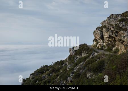 Città del Capo, Capo Occidentale, Sud Africa è un sogno per escursionisti e outdoorsman con accesso ai sentieri attraverso i fynbos nel Table Mountain National Park. Foto Stock