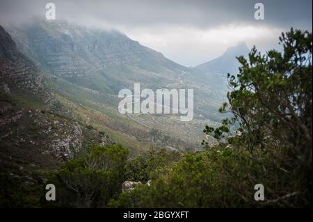 Città del Capo, Capo Occidentale, Sud Africa è un sogno per escursionisti e outdoorsman con accesso ai sentieri attraverso i fynbos nel Table Mountain National Park. Foto Stock