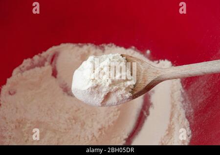 farina di grano su un cucchiaio di legno in una ciotola rossa. Cottura del pane processo. Foto Stock