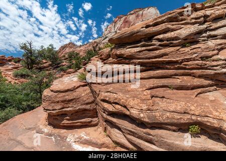 Un sentiero escursionistico nel Parco di Zion è fiancheggiato da rosso arenaria scolpita in strati Foto Stock