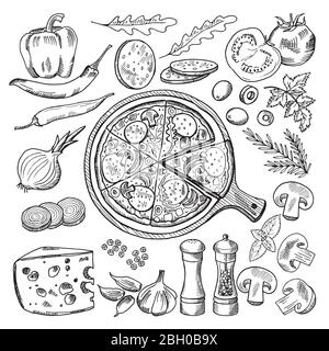 Illustrazioni della cucina classica italiana. Pizza e ingredienti diversi. Fast food Set pomodoro e mozzarella, olive e cipolla, salame e basilico fo Illustrazione Vettoriale