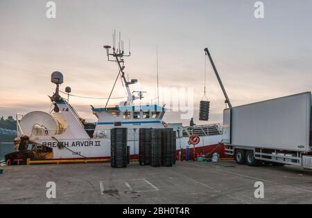 Kinsale, Cork, Irlanda. 23 aprile 2020. L'equipaggio della sciabica Breizh Arvor II scarica le catture di nasello e di mordente su un autocarro sul molo di Kinsale, Co. Cork, dove sarà esportato in Spagna. Dallo scoppio della pandemia di Covid-19, l'industria della pesca ha visto un calo della domanda del 60% a causa del blocco che ha portato alla chiusura di ristoranti e alberghi. - credito; David Creedon / Alamy Live News Foto Stock