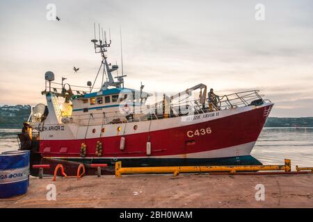 Kinsale, Cork, Irlanda. 23 aprile 2020. Trawler Breizh Arvor II arriva a Kinsale, Co. Cork all'alba dal Mar Celtico con una cattura di nasello e di Whiting che sarà esportato in Spagna. Dallo scoppio della pandemia di Covid-19, l'industria della pesca ha visto un calo della domanda del 60% a causa del blocco che ha portato alla chiusura di ristoranti e alberghi. - credito; David Creedon / Alamy Live News Foto Stock