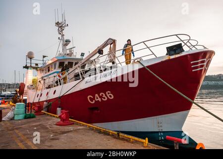 Kinsale, Cork, Irlanda. 23 aprile 2020. Trawler Breizh Arvor II arriva a Kinsale, Co. Cork all'alba dal Mar Celtico con una cattura di nasello e di Whiting che sarà esportato in Spagna. Dallo scoppio della pandemia di Covid-19, l'industria della pesca ha visto un calo della domanda del 60% a causa del blocco che ha portato alla chiusura di ristoranti e alberghi. - credito; David Creedon / Alamy Live News Foto Stock