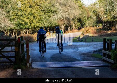 Un paio di ciclisti che cavalcano fianco a fianco sulle strade di campagna della foresta del New Hampshire Foto Stock