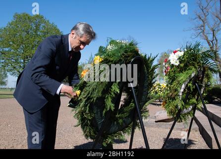 Zeithain, Germania. 23 aprile 2020. Frank Richter (SPD), membro del parlamento di Stato, srotola un nastro di corona nel memoriale per i prigionieri di guerra e le vittime del Wehrmacht nel campo di Zeithain dal 1941-1945 Ehrenhain. L'occasione è la commemorazione della Fondazione dei Memorials Sassoni nel 75° anniversario della liberazione del campo di prigionia di Zeithain. Credit: Sebastian Kahnert/dpa-Zentralbild/dpa/Alamy Live News Foto Stock