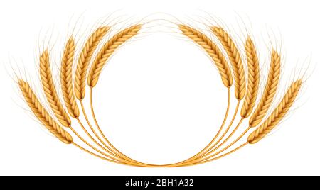 Mazzo di orecchie di grano, secchi interi grani realistico illustrazione cornice isolato su sfondo bianco. Modello di oggetti da forno. Corona di grano. EPS 10 Illustrazione Vettoriale