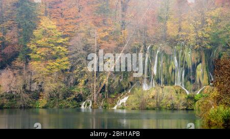 Piccole cascate circondate da alberi con splendidi colori autunnali nel Parco Nazionale dei Laghi di Plitvice, Croazia Foto Stock