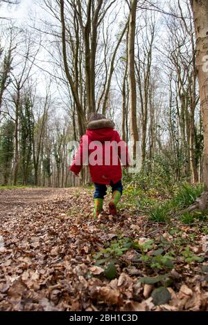 Un bambino piccolo in un cappotto rosso e stivali wellington o si trova a camminare attraverso le foglie sul pavimento della foresta in autunno o in autunno Foto Stock