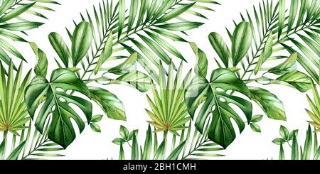 Acquerello tropicale senza cuciture pattern. Strisce diagonali ripetute. Esotiche foglie di palma, monstera, cocco isolato su bianco. Botanico a mano tirato Foto Stock