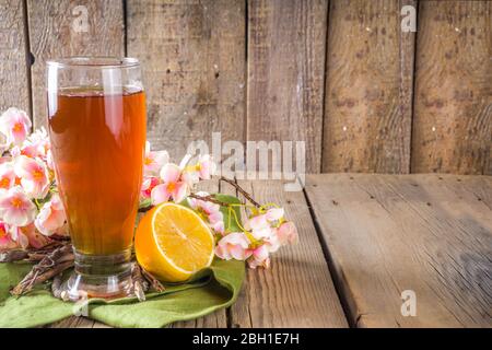 Bevanda indiana a sorbetto Nannari, o rinfrescante cocktail estivo alla limonata, bevanda infusa con radici sarsaparilla, sciroppo nannari, erbe, agrumi e spezie Foto Stock