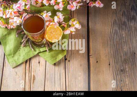 Bevanda indiana a sorbetto Nannari, o rinfrescante cocktail estivo alla limonata, bevanda infusa con radici sarsaparilla, sciroppo nannari, erbe, agrumi e spezie Foto Stock