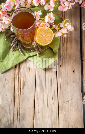 Bevanda indiana a sorbetto Nannari, o rinfrescante cocktail estivo alla limonata, bevanda infusa con radici sarsaparilla, sciroppo nannari, erbe, agrumi e spezie Foto Stock