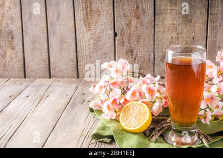 Bevanda indiana a sorbetto Nannari, o rinfrescante cocktail estivo alla limonata, bevanda infusa con radici sarsaparilla, sciroppo nannari, erbe, agrumi e spezie Foto Stock