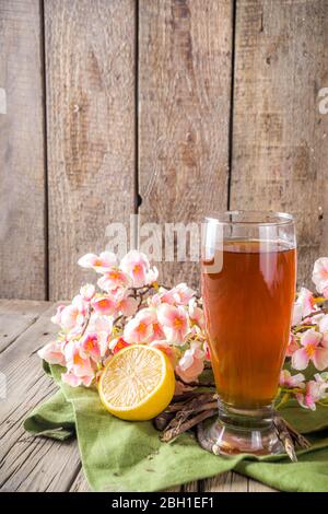 Bevanda indiana a sorbetto Nannari, o rinfrescante cocktail estivo alla limonata, bevanda infusa con radici sarsaparilla, sciroppo nannari, erbe, agrumi e spezie Foto Stock