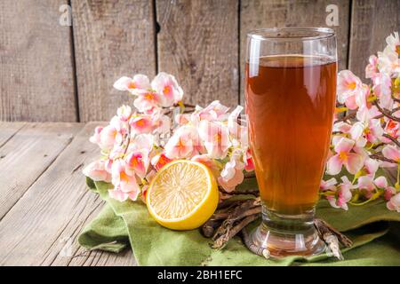 Bevanda indiana a sorbetto Nannari, o rinfrescante cocktail estivo alla limonata, bevanda infusa con radici sarsaparilla, sciroppo nannari, erbe, agrumi e spezie Foto Stock