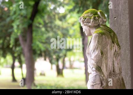 Vecchio cimitero nel centro di Bratislava. Il monumento è coperto di muschio. Figura di un uomo dal lato. Foto Stock