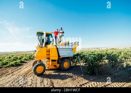 Macchina vendemmiatrice e viticoltori giovani, Cuenca, Spagna Foto Stock