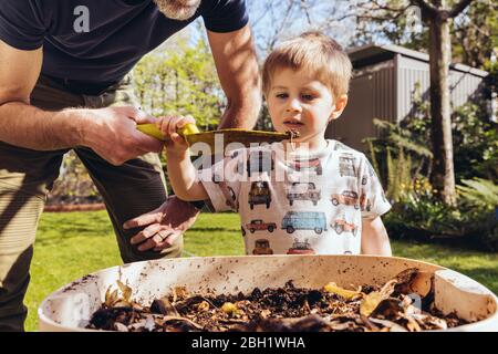 Padre e figlio ispezionano la fattoria di vermi nel loro giardino Foto Stock