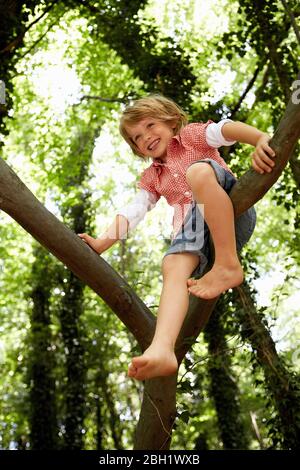Felice ragazzo arrampicata albero in foresta Foto Stock
