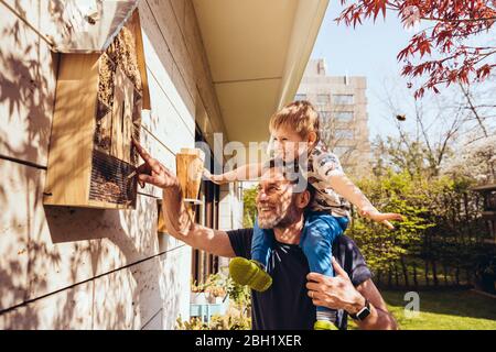 Padre e figlio ispezionano il loro hotel di insetti con le api Foto Stock