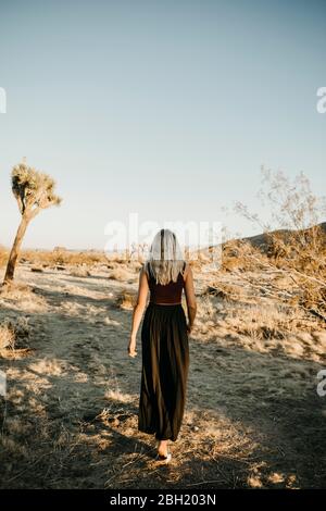 Vista posteriore di donna bionda che cammina nel deserto, Joshua Tree, Stati Uniti Foto Stock