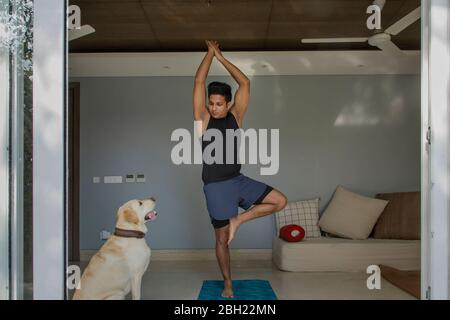 Uomo in piedi in posa albero durante l'esercizio di yoga con il suo cane seduto tranquillamente accanto a lui. Foto Stock